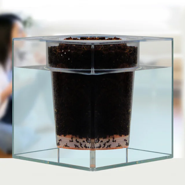 Creative Clear Tube Plant Pot / Flower Pot Decorative Self-Watering Planter Fish Tank for Home Office Desk Free Shipping