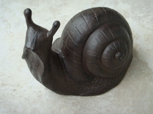 Where to find snails in your backyard