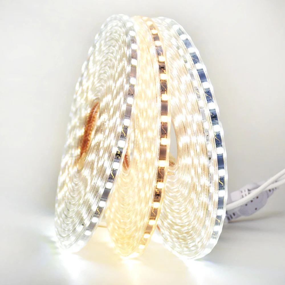 

LED Strip Light AC220V Dimmable RGB LED Tape with Remote Controller Waterproof SMD5050 LED Ribbon Flexible Strips Lighting