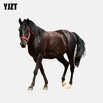 

YJZT 13.2CM*14.2CM Personalized Animal Horse PVC Waterproof Car Sticker Decal Graphical 5-0768
