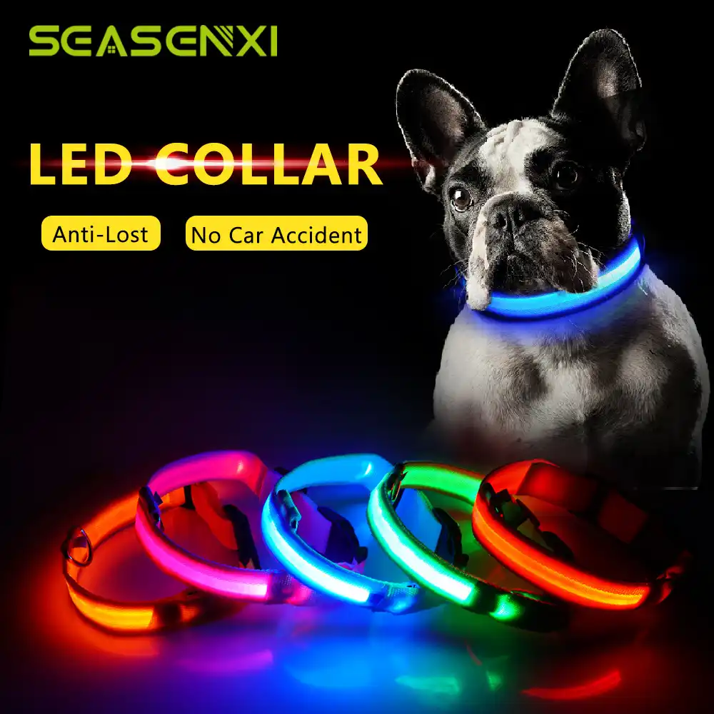 cool dog collars