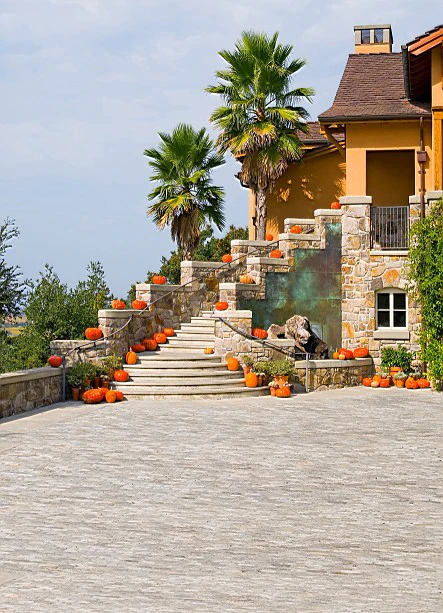 300 CM * 200 CM calabaza en escaleras casa fondos de boda ...