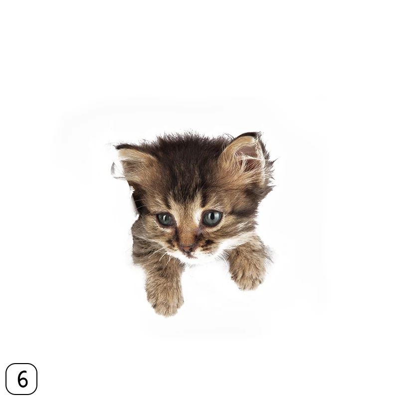 267554_no-logo_267554-2-06