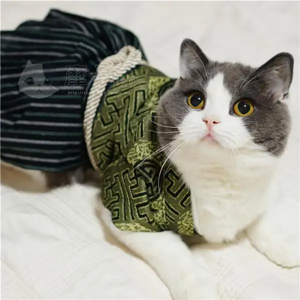 Gatto Gonna Abito Abbigliamento M, Rosa Beetest reg; Carina Giapponese Kimono Stile Abbigliamento Animali Costumi per Cane Cucciolo