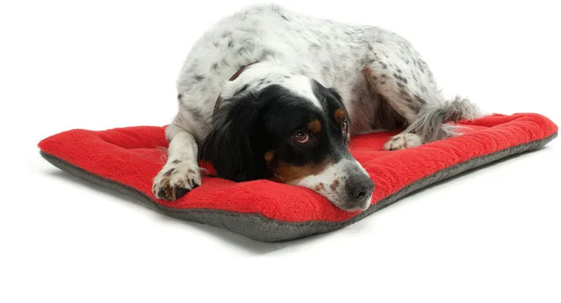 Soft Pet Cushion Mat Warm Dog Mattress Pad Convenience Carry Pet mats  for Pet House Kennels Cage Crate Bed10