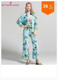 dianxiaobao