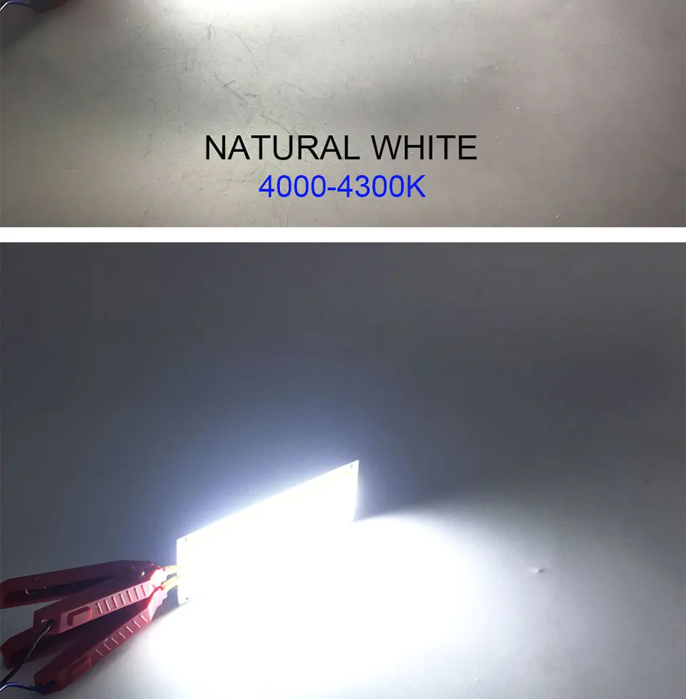 12036mm COB LED Bulb 12V 10W 1000LM Light Emitting Diode Red Blue Warm Cool White LED Lamp for Home Car Lighting (10)