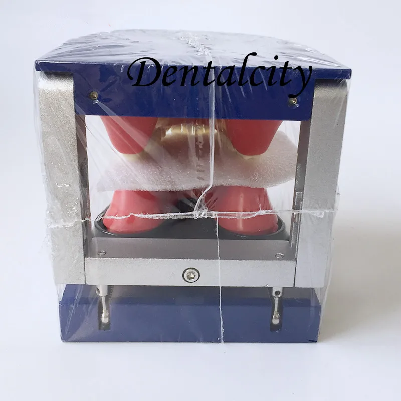 Alta Qualidade Dental Typodon Dentes Modelo - Ortodôntico Steelteeth M8017 17 Cheap Modelo de Ensino Dental