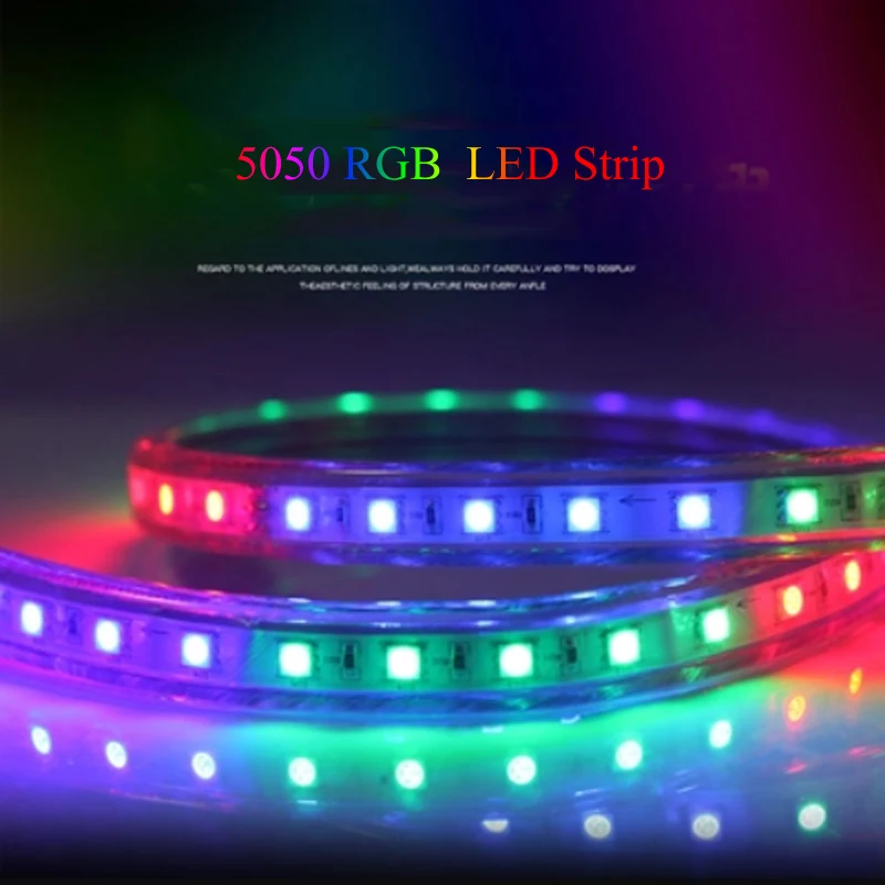 Beste Kopen Afstandsbediening Waterdichte RGB Led Strip 220 V Smd 5050 Tape Neon Light Lamp 60