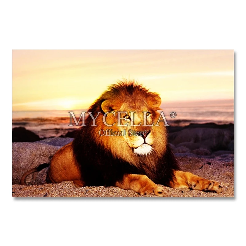 

3D,Animals,Lion,Diamond Embroidery,5D,DIY,Diamond Painting,Cross Stitch,Picture,Full,square,Diamond Mosaic,Home Decor