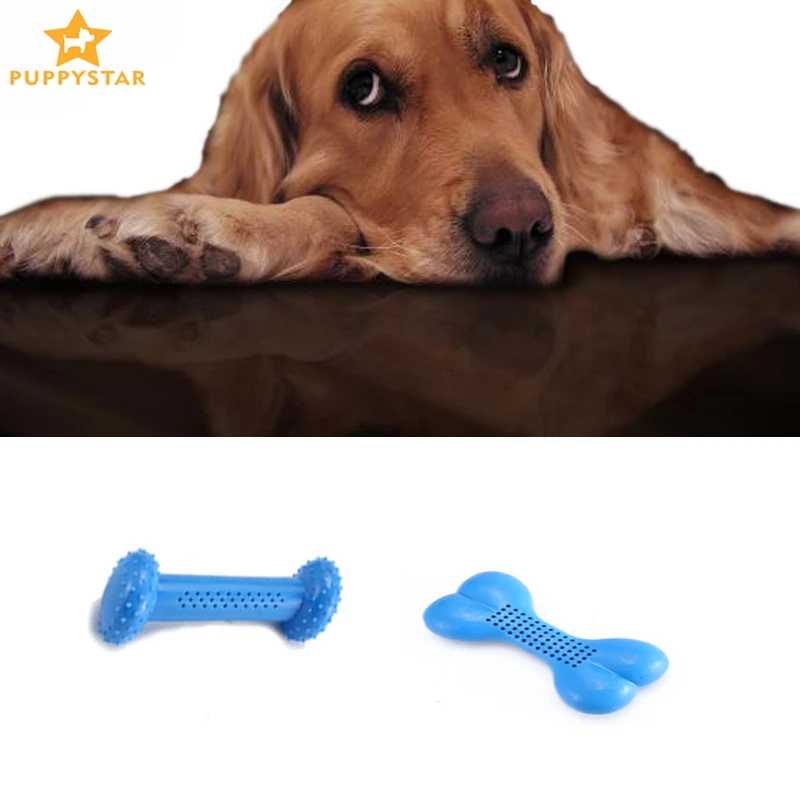 Cooling Dog Chew Toys Summer Dogs Outfit Water Feeder Interactive Toy