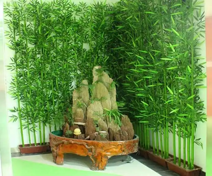 u=2075994436,2672547403&fm=214&gp=0