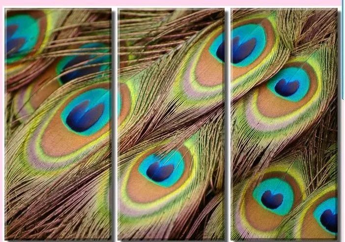 3PCS Fashion Abstract Hand-painted On Canvas - Peacock feathers | Дом и сад