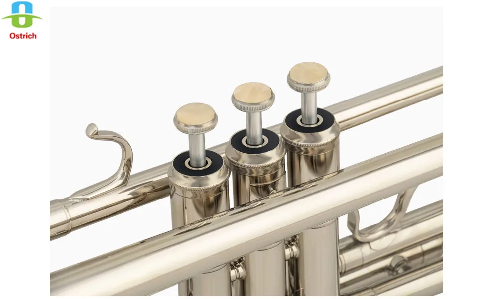 Bb труба B плоская Золотая Лаковая труба латунные духовые инструменты с Чехол труба и мундштук