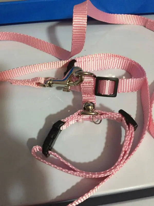 

Adjustable hedgehog Harness for Training Playing traction rope NEW color Blue/ Pink For choose