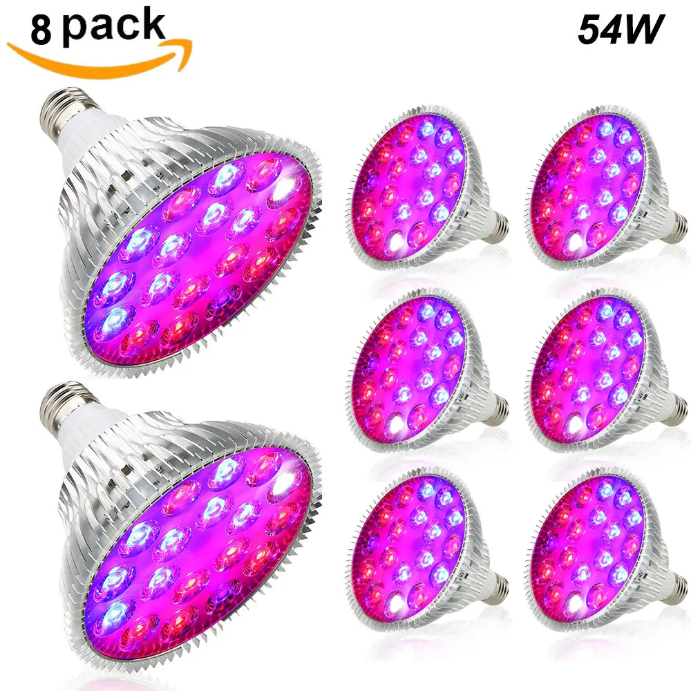 8P