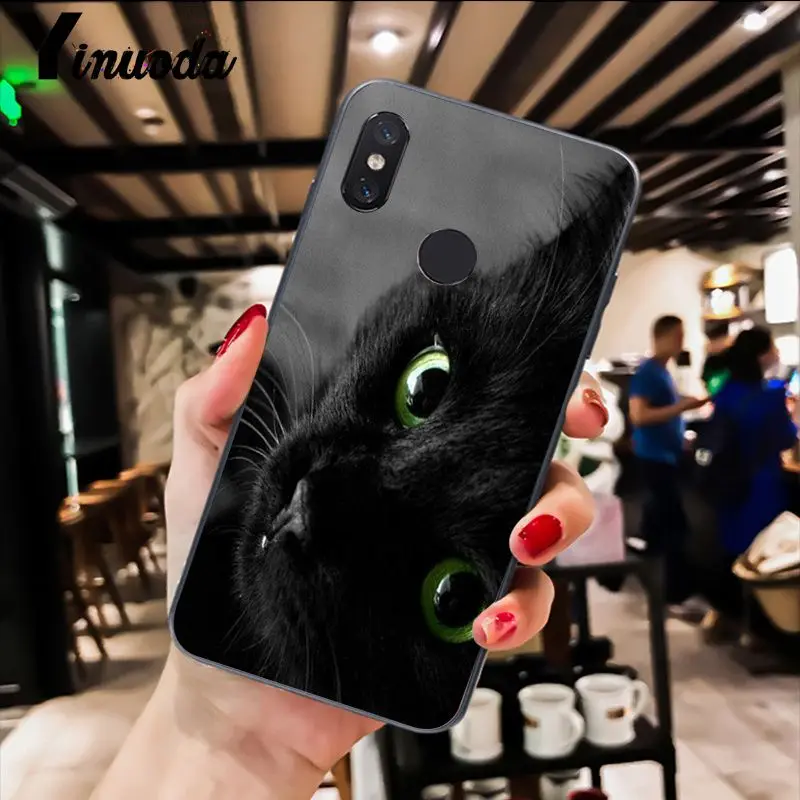 Cute Black Cat Staring Eyes