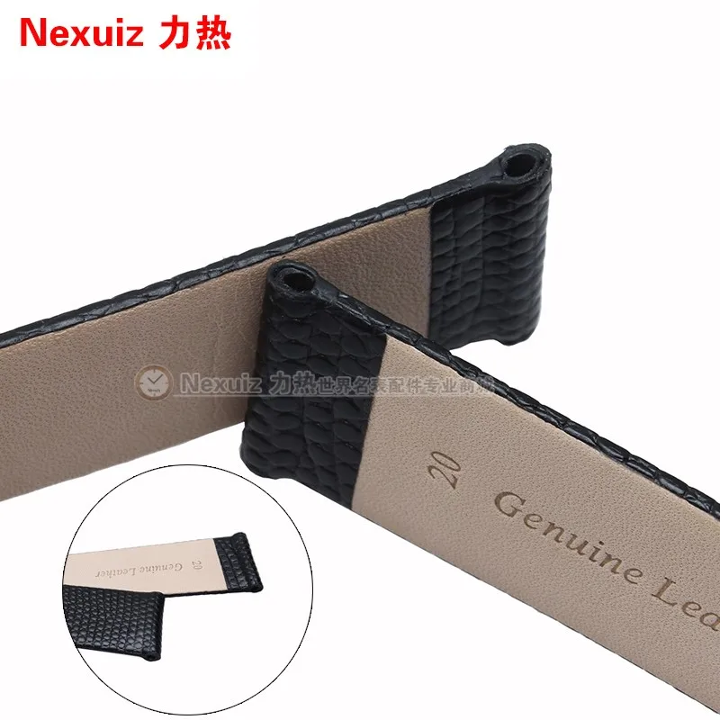 TB261l6fXXXXXaVXpXXXXXXXXXX_!!1955803745