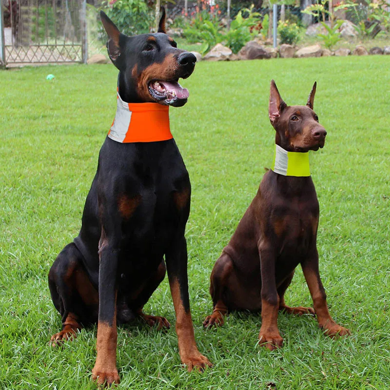 Reflective dog scarf collar