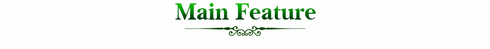 Main Feature