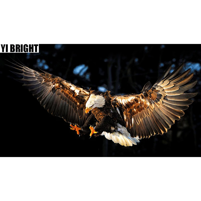 

Full Square/Round Drill 5D DIY Diamond Painting "Raptor Eagle's Flutter"Embroidery Cross Stitch Mosaic Rhinestone Home Decor GT