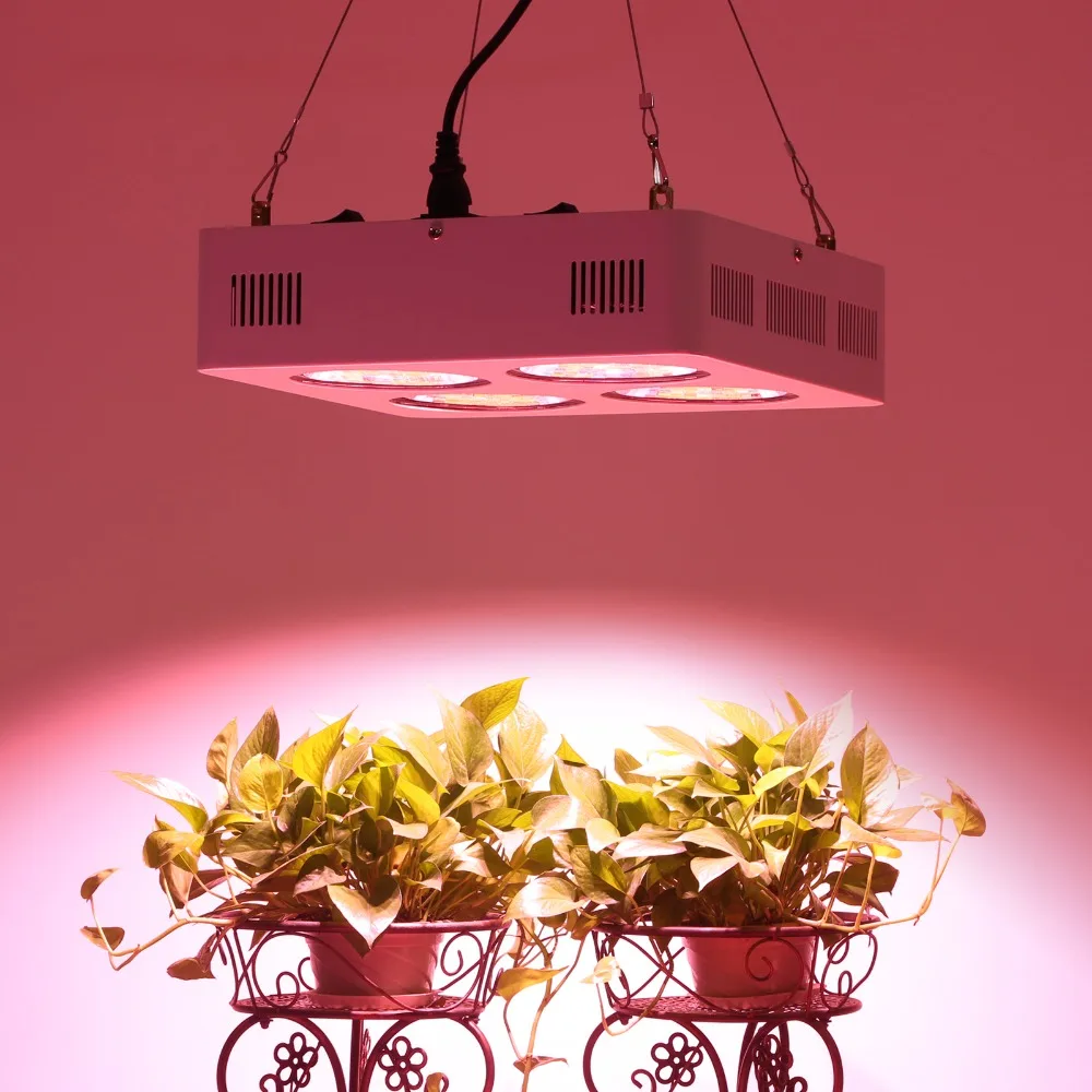 Newest designed Full Spectrum led grow light 800W with COB Reflector Cup for grow tent indoor