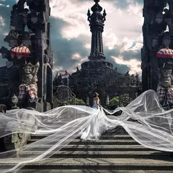 Wedding Picture Party Bridal Extra Long 10M Meters White Organza Tulle Lace Veil Women Bride Ivory 1000CM Veils Without Comb Wedding Picture Party Bridal Extra Long 10M Meters White Organza Tulle Lace Veil Women Bride Ivory 1000CM Veils Without Comb