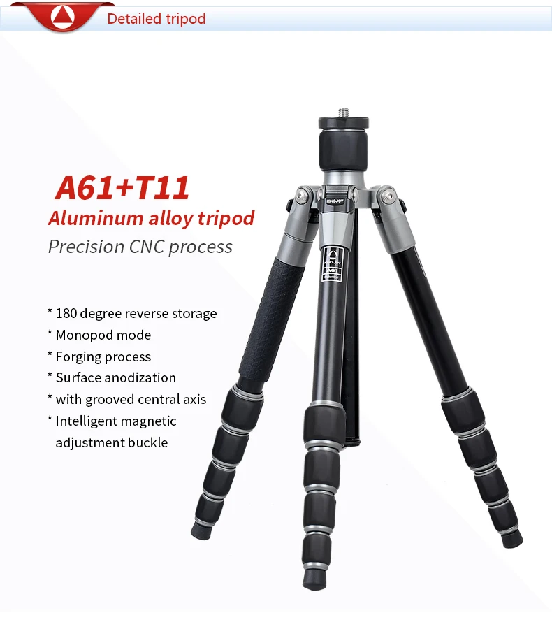 A61-A81+T11_17