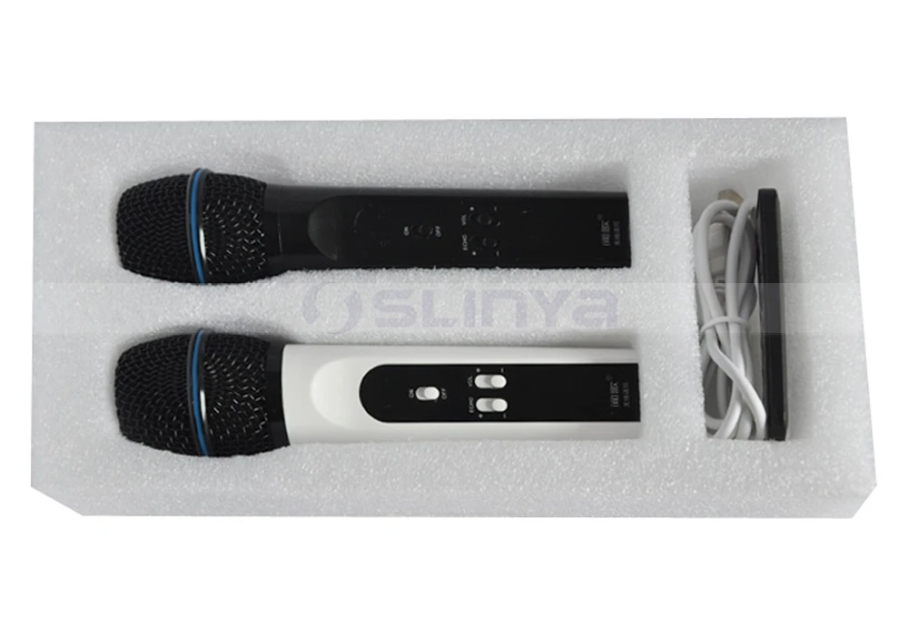 Speaker with wireless microphone 8040170721 (21)