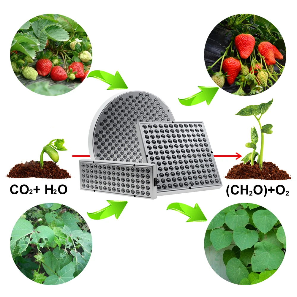  Full Spectrum LED Grow Light 25W 40W 50W Growing Lamps for Plants Indoor Flowers Seedlings Phytolam - 32989460170