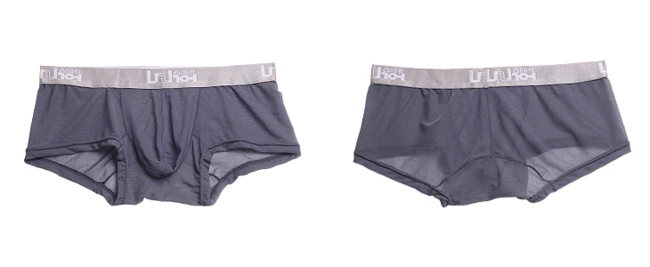 

Sexy Gay Underwear Men Boxers Shorts Semi-transparent Mesh Panties Low Rise Pouch Underpants Cueca ropa interior hombre M-XXL