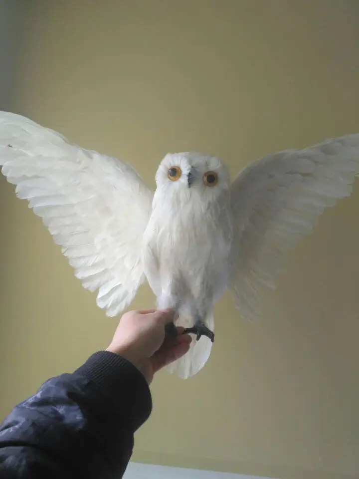 Большой моделирования белая сова модель полиэтилен и меха крылья сова кукла подарок около 60x32 см 1250