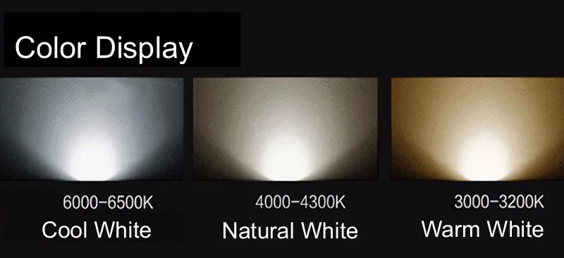 2587558904_1112660346