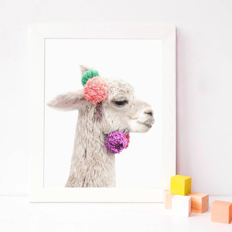 Baby Alpaca Wall Art Print