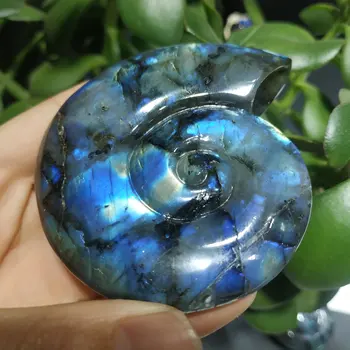 

Natural labradorite ammonite crystal carvings handicraft wonderful colors home decoration