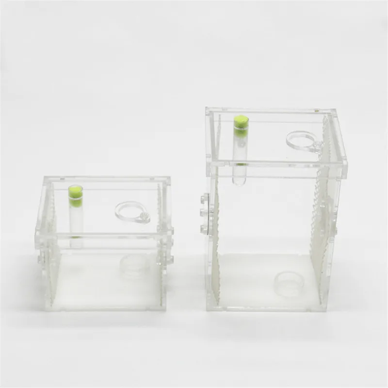 Reptile breeding box (1)