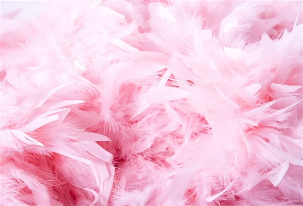 

Laeacco Pink Feather Baby Newborn Sprout Photography Backgrounds Customized Photographic Backdrops For Photo Studio
