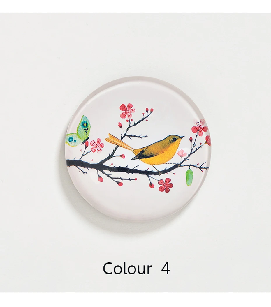 bird magnet refrigerator sticker 10