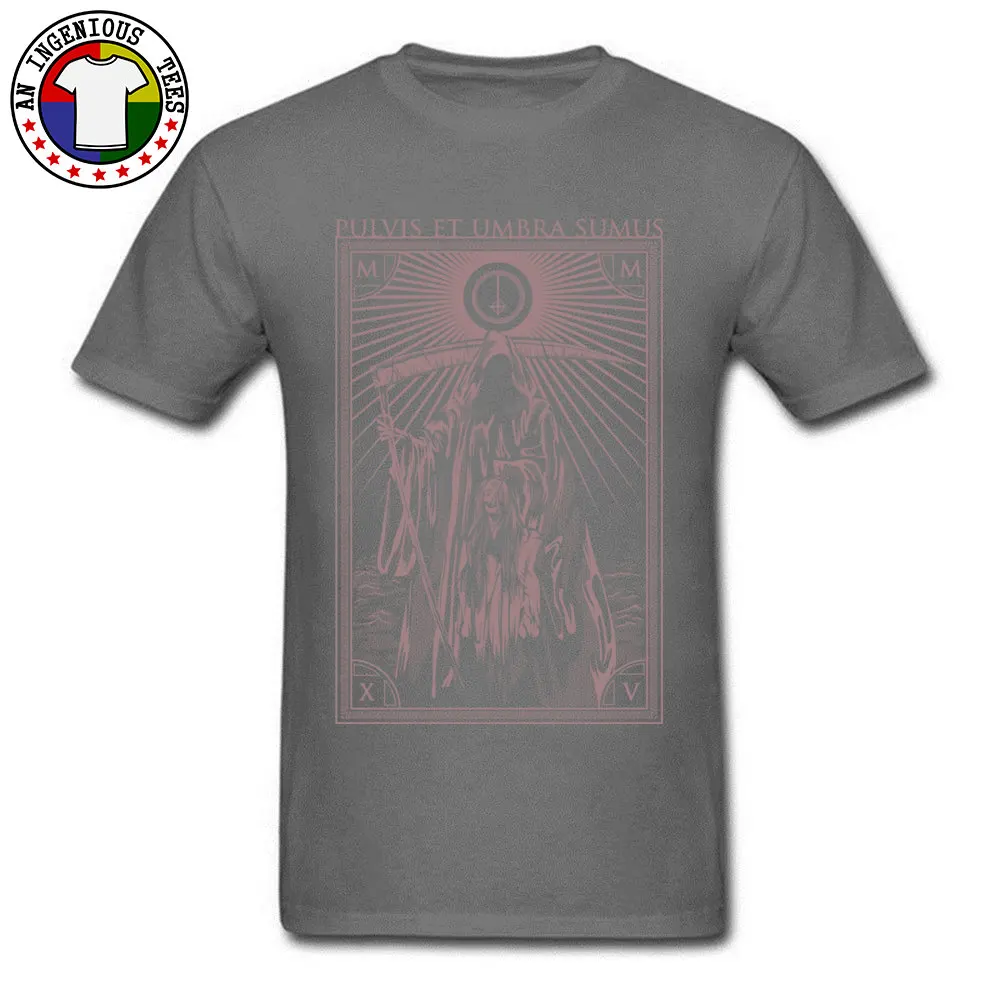 Pulvis Et Umbra Sumus 2018 Normal Tops Tees Round Neck Summer Fall 100% Cotton Short Sleeve T Shirt for Men Custom Top T-shirts Pulvis Et Umbra Sumus carbon