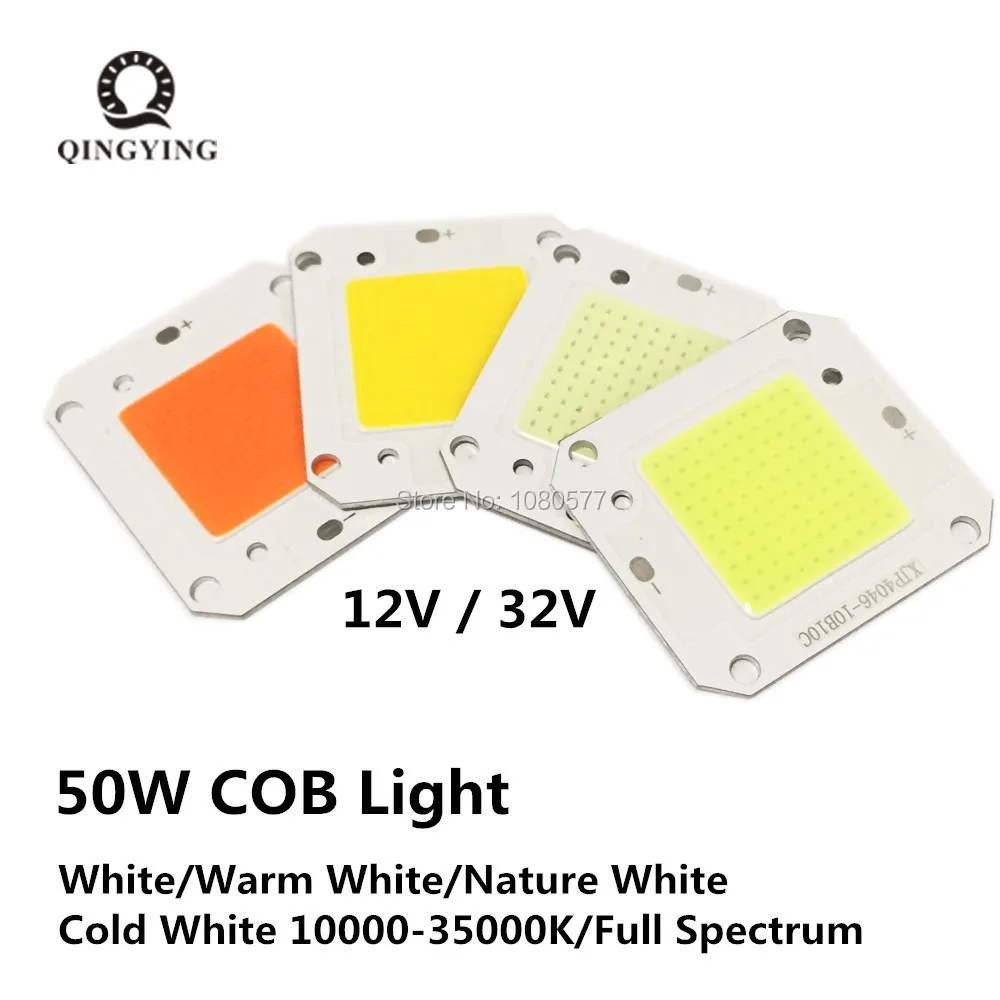 50W COB Light