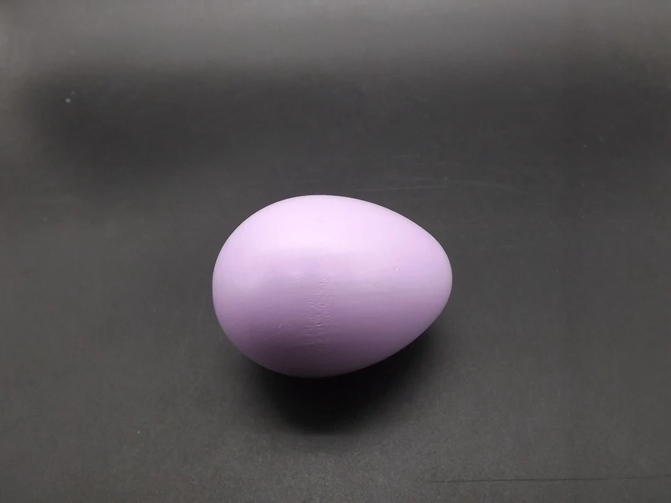 I433-Egg (5)