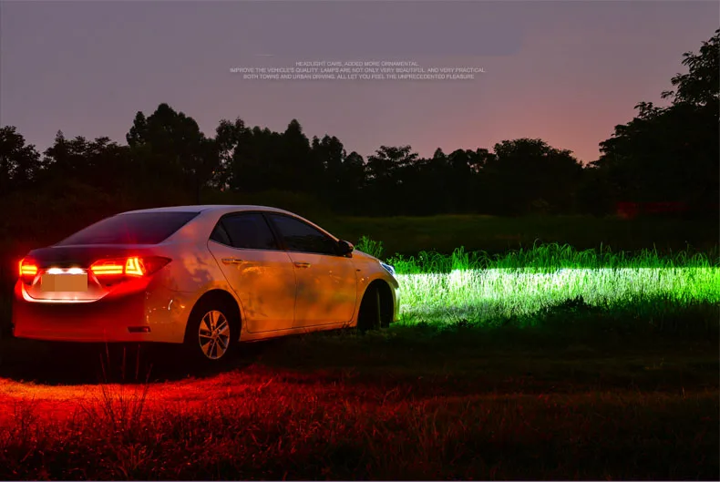 Corolladetail12