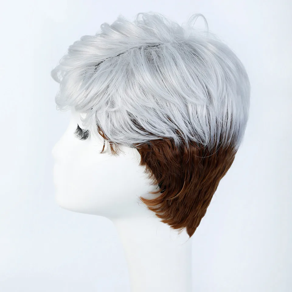 WTB-Short-Straight-Wigs-for-Women-Synthetic-Silver-Brown-Ombre-Hair-with-Heat-Resistant-Cosplay-Wig (3)
