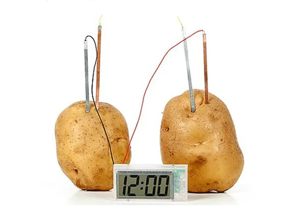 potato lab