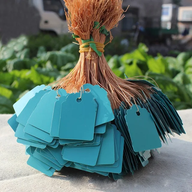 100Db/Készlet Tenyésztési Címke Kertészeti Üzem Pvc Vízálló Függő Jel Húsos Óvodai Stock Virágok Címkézés Csepp Aa