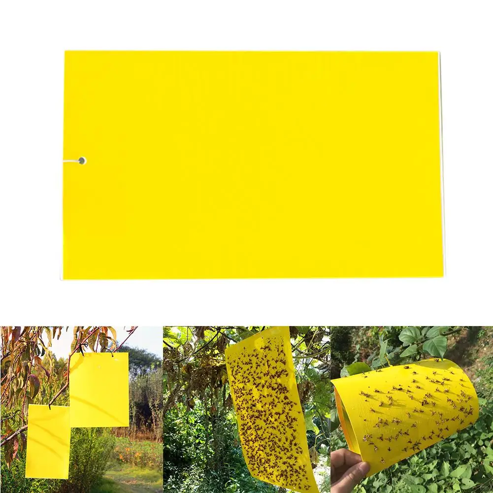 

20PCS Double-sided Yellow Trap Sticky Insect Board For Protecting Crop Plant Pest Controller Hanging Orchard Trees InsectKiller