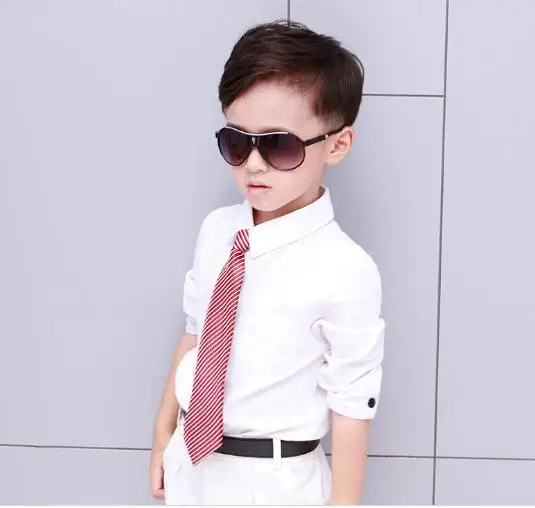 36020181212161755626