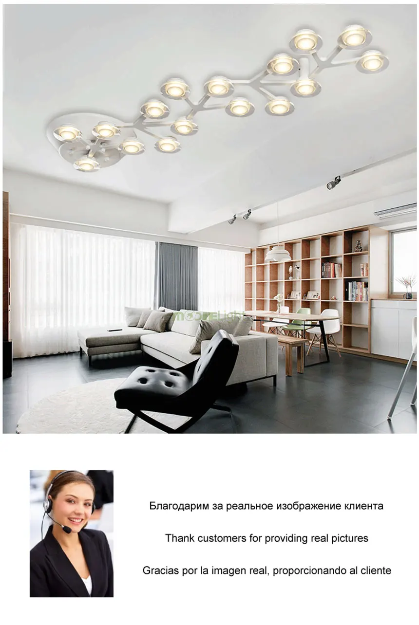 Plum-blossom-ceiling_28