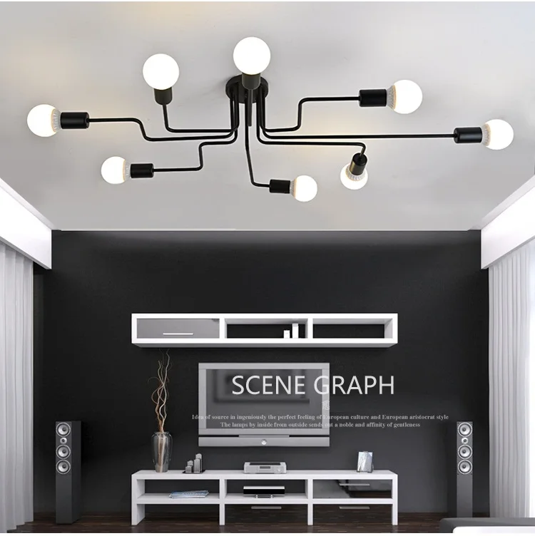 modern ceiling lamp (3)