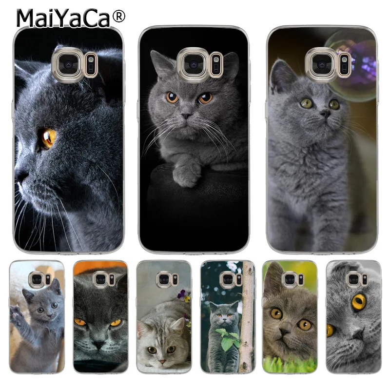 

MaiYaCa British Shorthair cat Soft Phone Accessories Cover Case for samsung galaxy s9 plus s7 edge s6 edge plus s5 s8 plus case